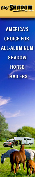 Shadow Horse Trailers for Sale