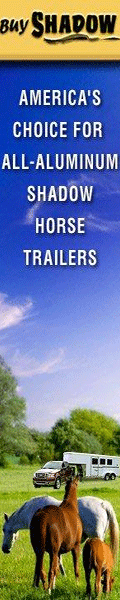 Shadow Horse Trailers for Sale