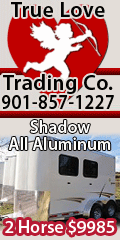 True Love Trading Co. Horse Trailers